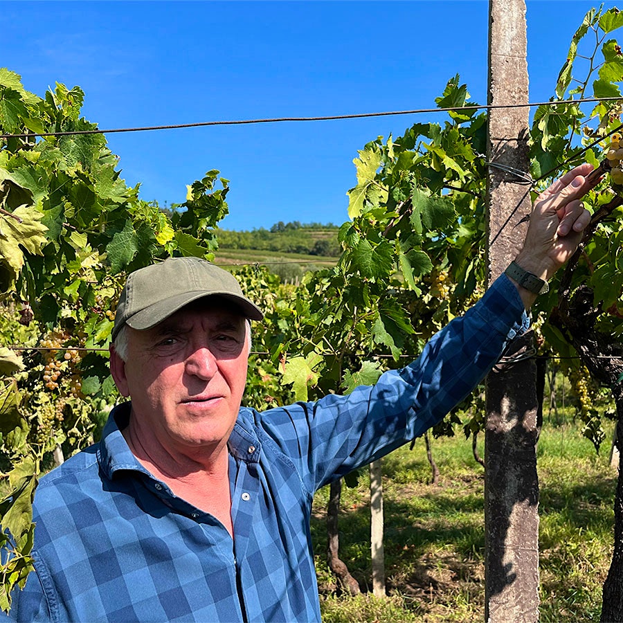 Graziano Prà shows the cut canes on a vine in his Monte Grande vineyard in Soave Classico